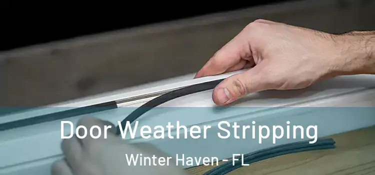 Door Weather Stripping Winter Haven - FL