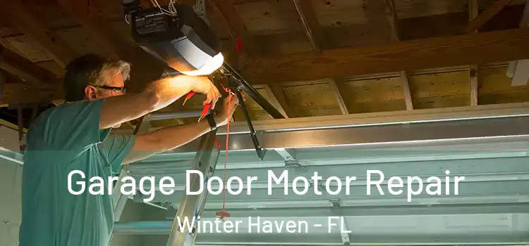  Garage Door Motor Repair Winter Haven - FL