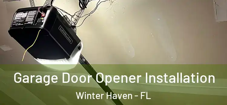  Garage Door Opener Installation Winter Haven - FL