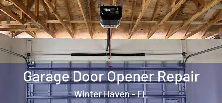  Garage Door Opener Repair Winter Haven - FL