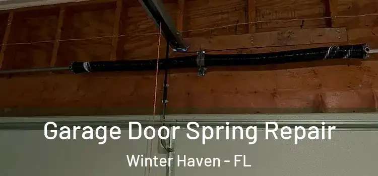  Garage Door Spring Repair Winter Haven - FL