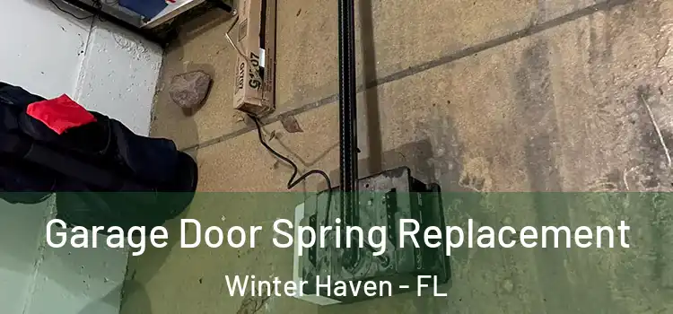  Garage Door Spring Replacement Winter Haven - FL