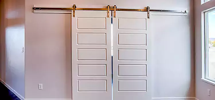 Glass Barn Door with Installation Hardware Kit Winter Haven
