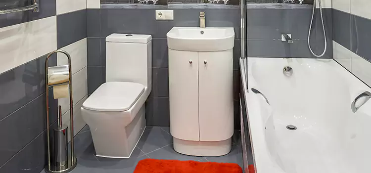 Hansgrohe Shaving Mirror Winter Haven