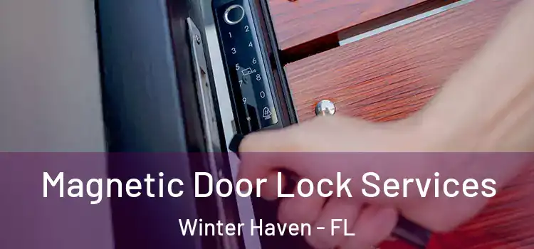 Magnetic Door Lock Services Winter Haven - FL
