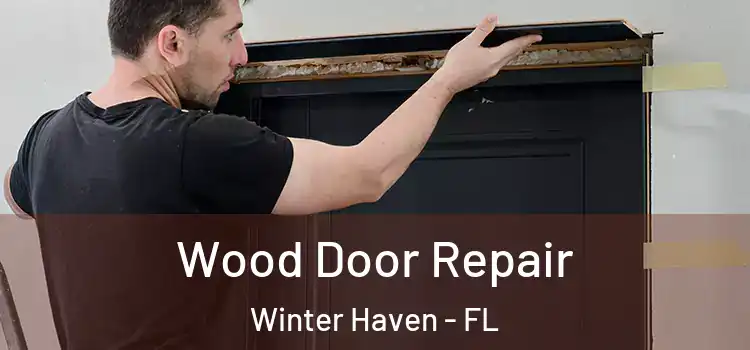 Wood Door Repair Winter Haven - FL